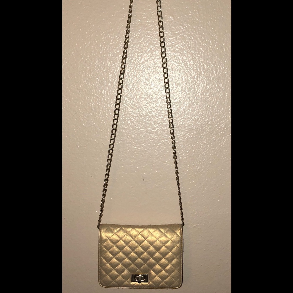 Gold Chain Purse